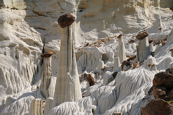 DSC_2649.jpg (4288x2848) NIKON D300 - 18-200mm f/3.5-5.6 // F8 // 1/250 sec // ISO 200 // 80,0 mm // no Flash // 2008:07:16 15:48:45 DSC_2649.jpg (4288x2848) NIKON D300 - 18-200mm f/3.5-5.6 // F8 // 1/250 sec // ISO 200 // 80,0 mm // no Flash // 2008:07:16 15:48:45